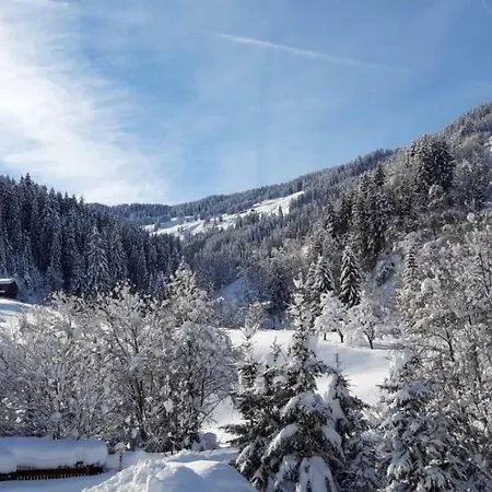 Haus Fichtenblick * Auffach