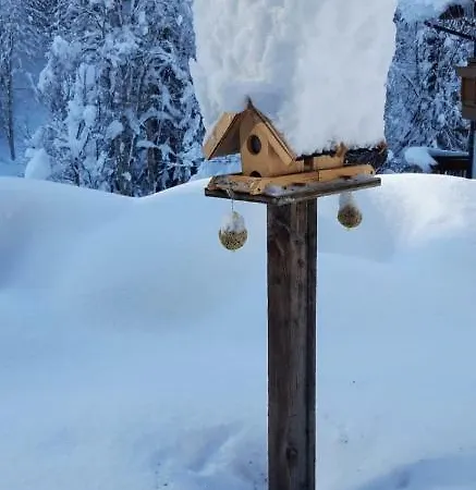 Haus Fichtenblick Apartmán